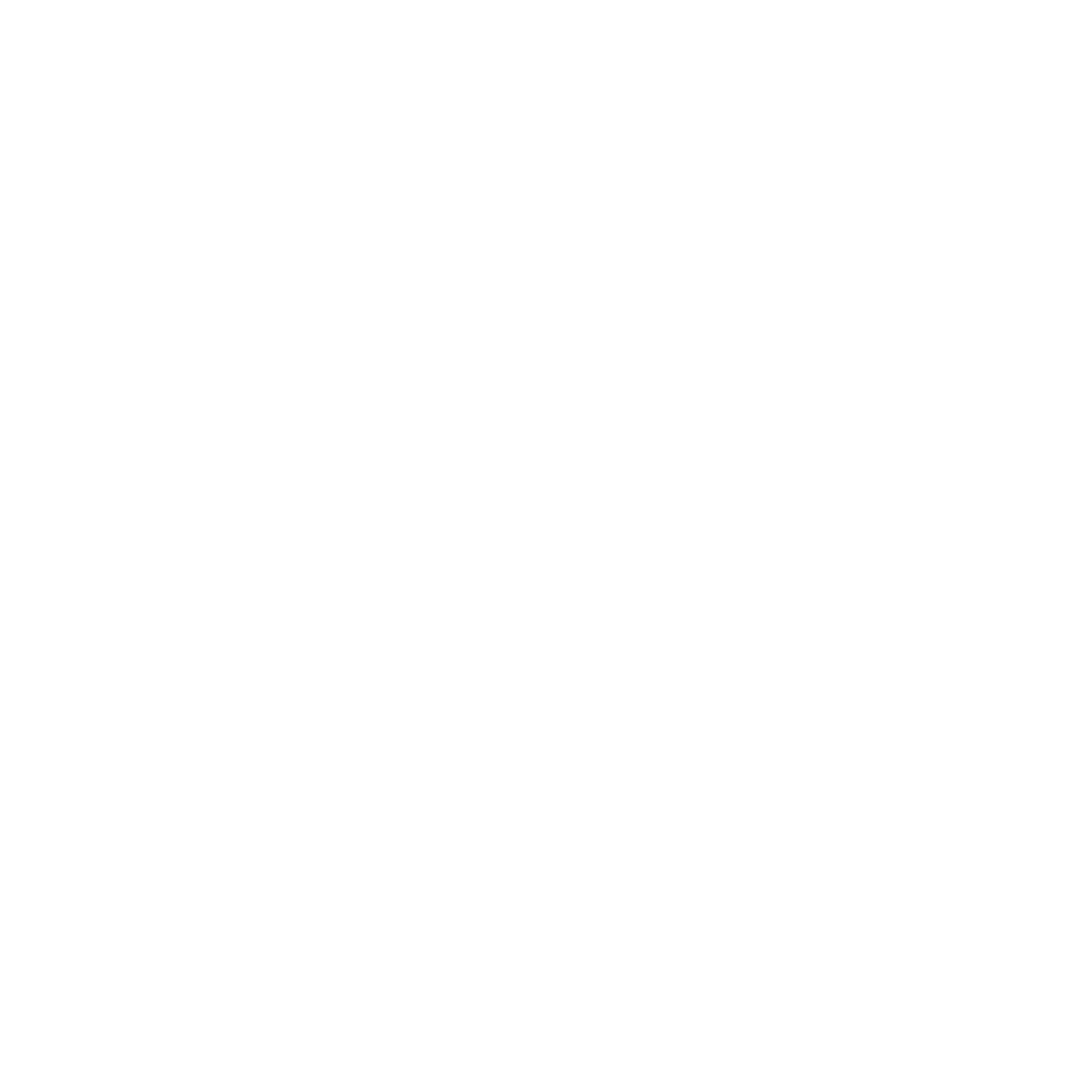 megaphone graphic